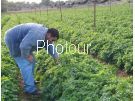 צלם: PHOTOUR צלם: PHOTOUR