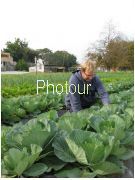 צלם: PHOTOUR צלם: PHOTOUR