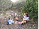 צלם: PHOTOUR צלם: PHOTOUR