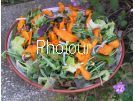 צלם: PHOTOUR צלם: PHOTOUR