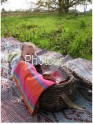 צלם: PHOTOUR צלם: PHOTOUR
