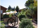צלם: PHOTOUR צלם: PHOTOUR