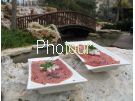 צלם: PHOTOUR צלם: PHOTOUR