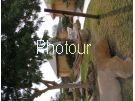 צלם: PHOTOUR צלם: PHOTOUR