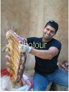 צלם: PHOTOUR צלם: PHOTOUR