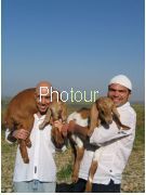 צלם: PHOTOUR צלם: PHOTOUR