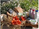 צלם: PHOTOUR צלם: PHOTOUR