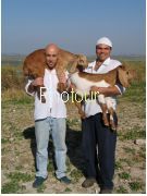 צלם: PHOTOUR צלם: PHOTOUR