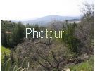 צלם: PHOTOUR צלם: PHOTOUR