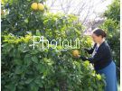 צלם: PHOTOUR צלם: PHOTOUR