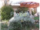 צלם: PHOTOUR צלם: PHOTOUR