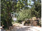צלם: PHOTOUR צלם: PHOTOUR