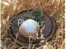 צלם: PHOTOUR צלם: PHOTOUR