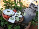 צלם: PHOTOUR צלם: PHOTOUR