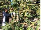 צלם: PHOTOUR צלם: PHOTOUR