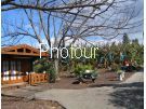 צלם: PHOTOUR צלם: PHOTOUR