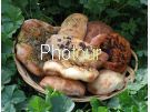 צלם: PHOTOUR צלם: PHOTOUR