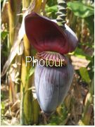 צלם: PHOTOUR צלם: PHOTOUR