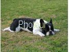צלם: PHOTOUR צלם: PHOTOUR