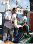 צלם: PHOTOUR צלם: PHOTOUR