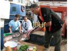צלם: PHOTOUR צלם: PHOTOUR