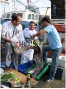 צלם: PHOTOUR צלם: PHOTOUR