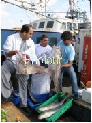 צלם: PHOTOUR צלם: PHOTOUR