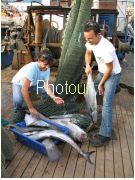 צלם: PHOTOUR צלם: PHOTOUR