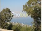 צלם: רונית סבירסקי צלם: רונית סבירסקי