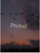 צלם: PHOTOUR