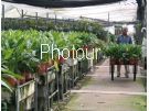 צלם: PHOTOUR צלם: PHOTOUR