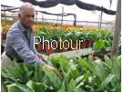 צלם: PHOTOUR צלם: PHOTOUR