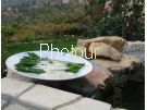צלם: PHOTOUR צלם: PHOTOUR