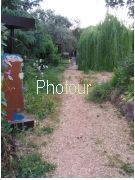 צלם: PHOTOUR צלם: PHOTOUR