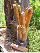 צלם: PHOTOUR צלם: PHOTOUR