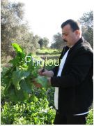 צלם: PHOTOUR צלם: PHOTOUR