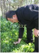 צלם: PHOTOUR צלם: PHOTOUR