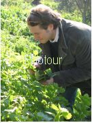 צלם: PHOTOUR צלם: PHOTOUR
